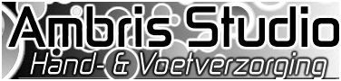 Ambris Studio