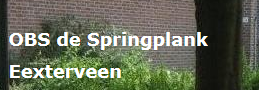 OBS de Springplank