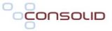 Consolid Beveiliging B.V.
