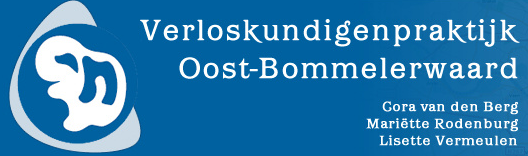 Verloskundigen praktijk Oost-Bommelerwaard